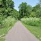 Heart of Ohio Trail Flowers - Leaving Mt Liberty