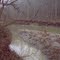 Clear Creek Site 5: Downstream