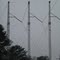 Power Lines