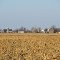farms and fields