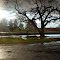 After the storm
