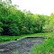 Hidden Wetland, Chippewa Co., WI