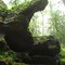 Old Mans Cave Ledge