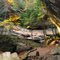 Old Man's Cave 2