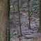 Old Man's Cave SP