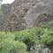 Forest Sarchahan Bavanat