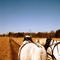 Wagon ride, DeLano Homestead, Kalamazoo, MI