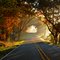 Country road
