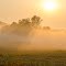 Morning Sun