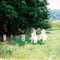 Devol Cemetery