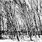 Morrow County Winter 2013