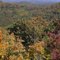 Shawnee State Forest
