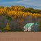 Green-roofed Barn
