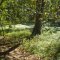 Flat Rock Creek Preserve