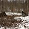 Winter Bushcraft trip in Ky