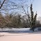 Wintry silence on a pond.
