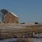 Farmland West of Elkader