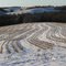 Fields West of Elkader