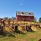 Where Old Tractors Go to Die