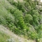Undulating Ridges