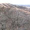 Star School Hill Prairie
