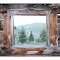 Looking Out The Window of an Old Mining Cabin