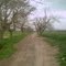 SalehAbad-2