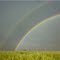 Rainbow - Chabala Yazdel  رنگین کمان - چابالا یزدل mghary