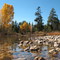 autumn in mccall