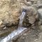 موتور اب جوسر-سرجو