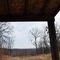 Porch View