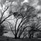 High wind at Oolagah Lake, Oklahoma