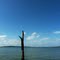 Lake Oologah