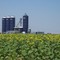 near Enid OK