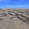 2013_04-06_Ten Acre Rock_P1000476