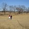 Heading to the pecan grove.