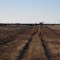 Over grown township road to old home place.