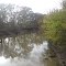 Clear Boggy River, looking west.