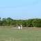 Orange Plantation.