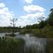 Okaloacoochee Slough S.F.