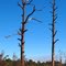 Spirit-of-the-Wild Wildlife Management Area