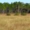 The most beautiful place in all of Florida