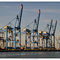 Zeebrugge Haven