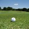 Turkey Creek Golf ball