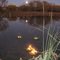 Loy Krathong
