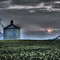 Grain Silos
