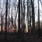 Camp Kikthawenund-Patriotic sunrise