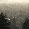 Portland after rain