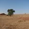 Former Walker home site, Herring, Oklahoma
