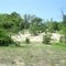 Marquette Trail Sand dune along the trail